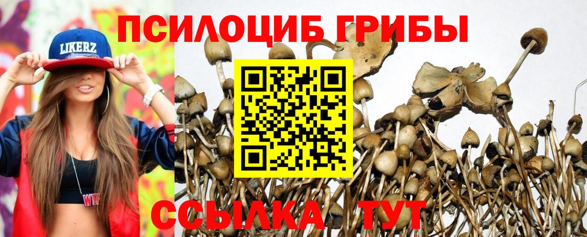 Галлюциногенные грибы Psilocybine cubensis Валуйки