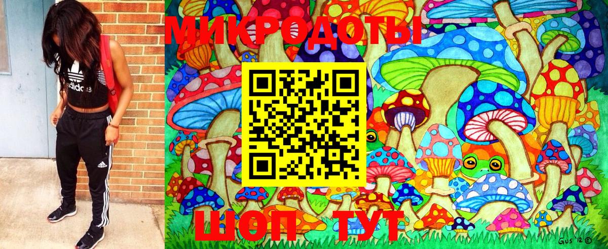 Валуйки  Псилоцибиновые грибы MAGIC MUSHROOMS  Вход с VPN  сколько стоит  Галлюциногенные грибы Psilocybe 